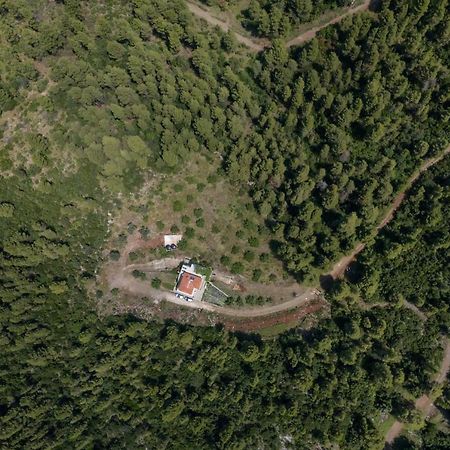 Dream House Capturing The Magic Of Nature Vlachia 外观 照片