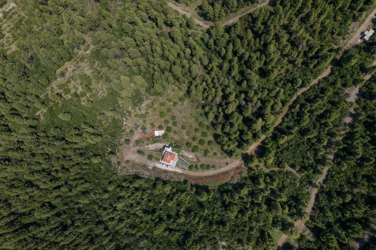 Dream House Capturing The Magic Of Nature Vlachia 外观 照片